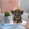 Sitzende Ganesha-Figur aus Polyresin, 11,5 cm